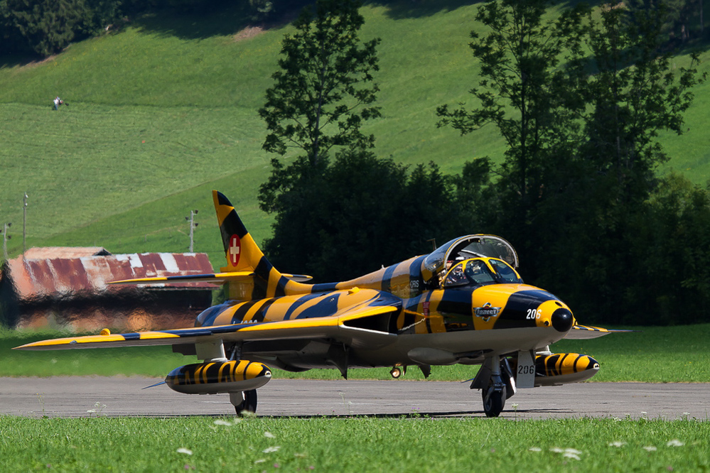 SST11 - 046 - Tiger-Hunter