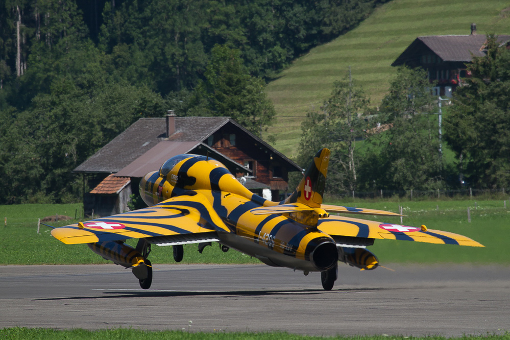 SST11 - 053 - Tiger-Hunter