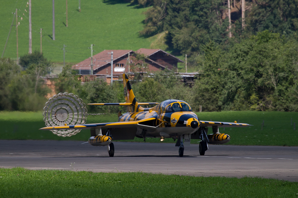 SST11 - 083 - Tiger-Hunter