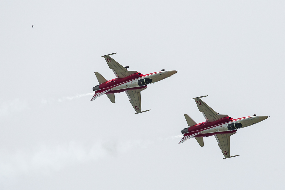 emmen_047