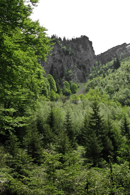 029 - Furggeli -- Blick zurück
