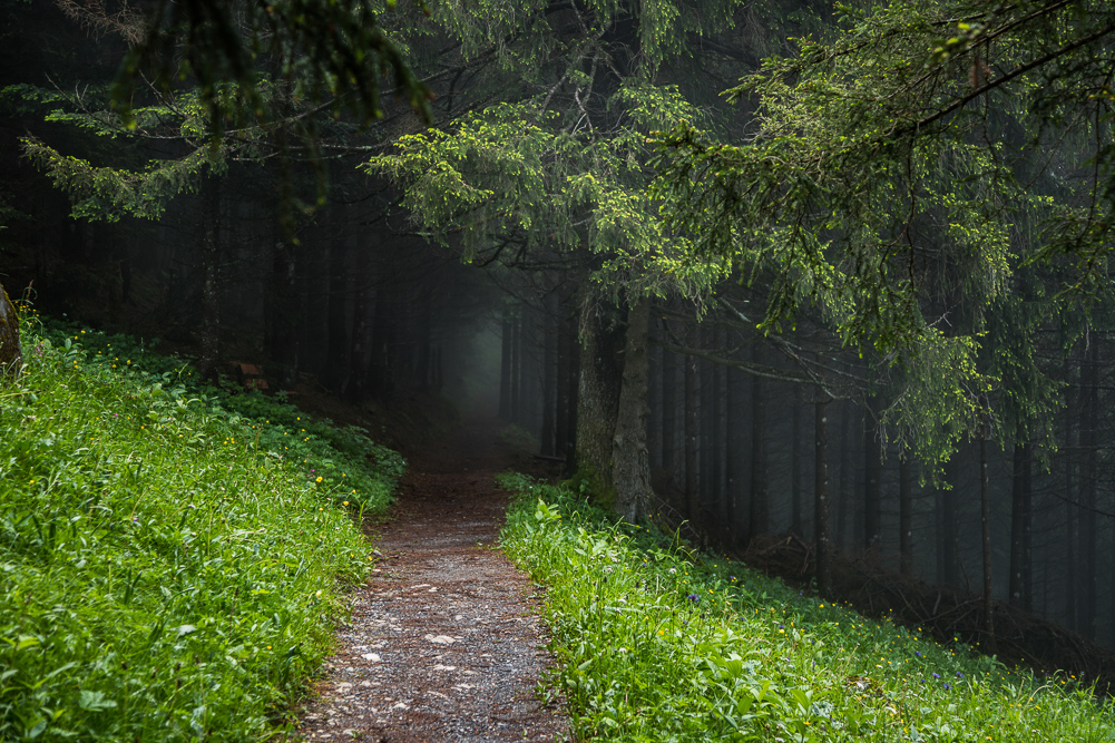 Plattenspitz_002