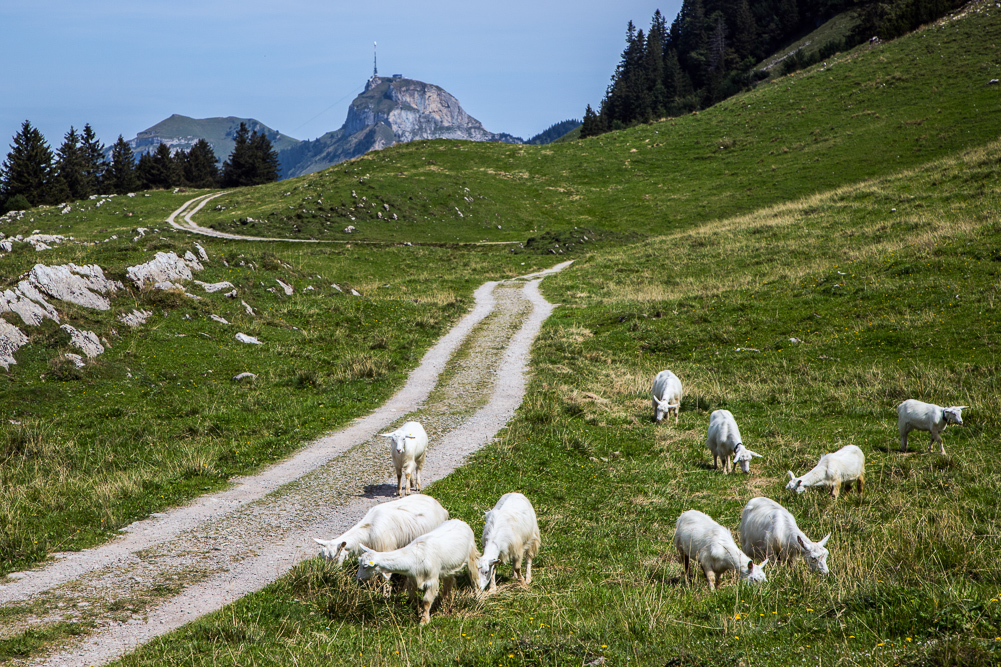 Staubern_011