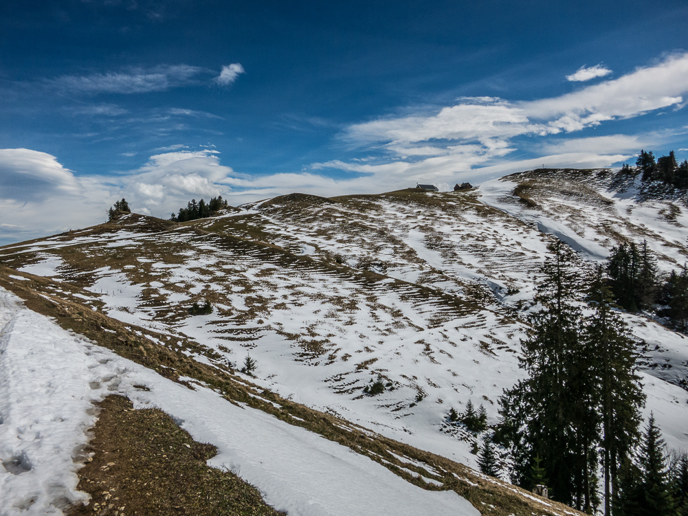 tanzboden_007