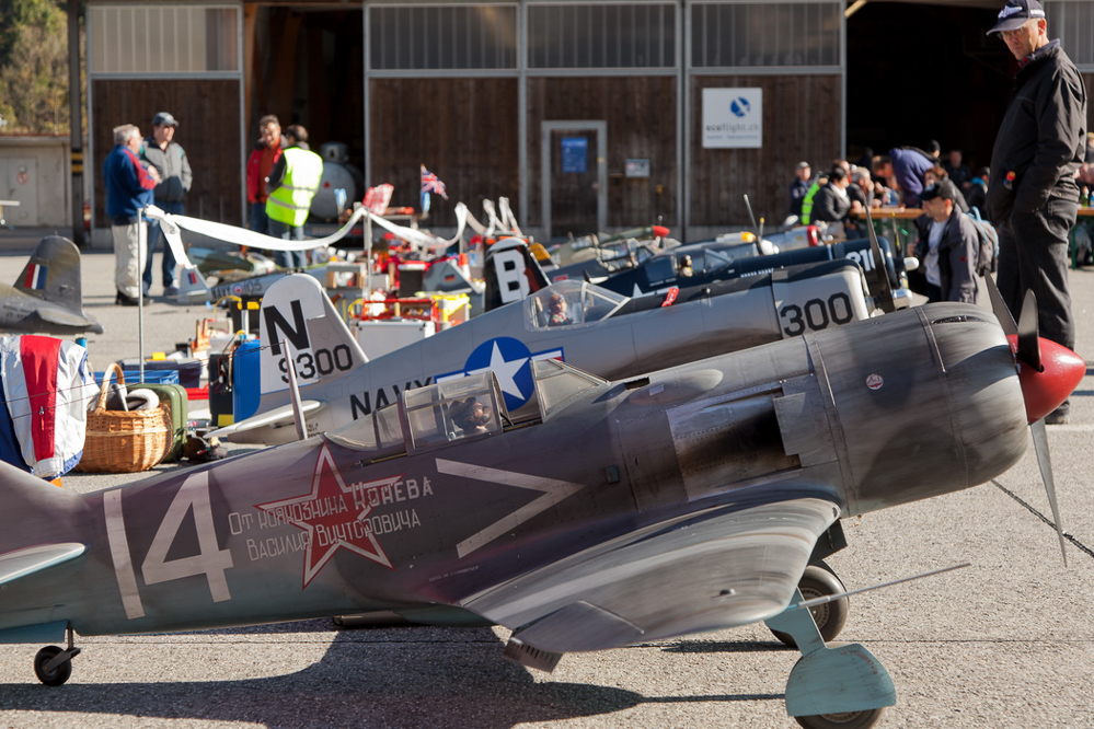 Warbird Mollis - 001