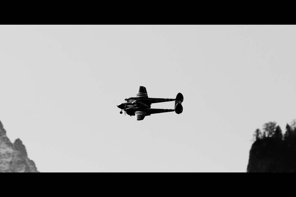 Warbird Mollis - 002
