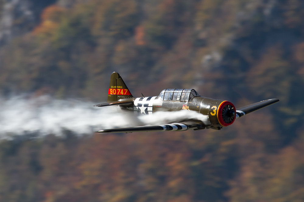 Warbird Mollis - 005