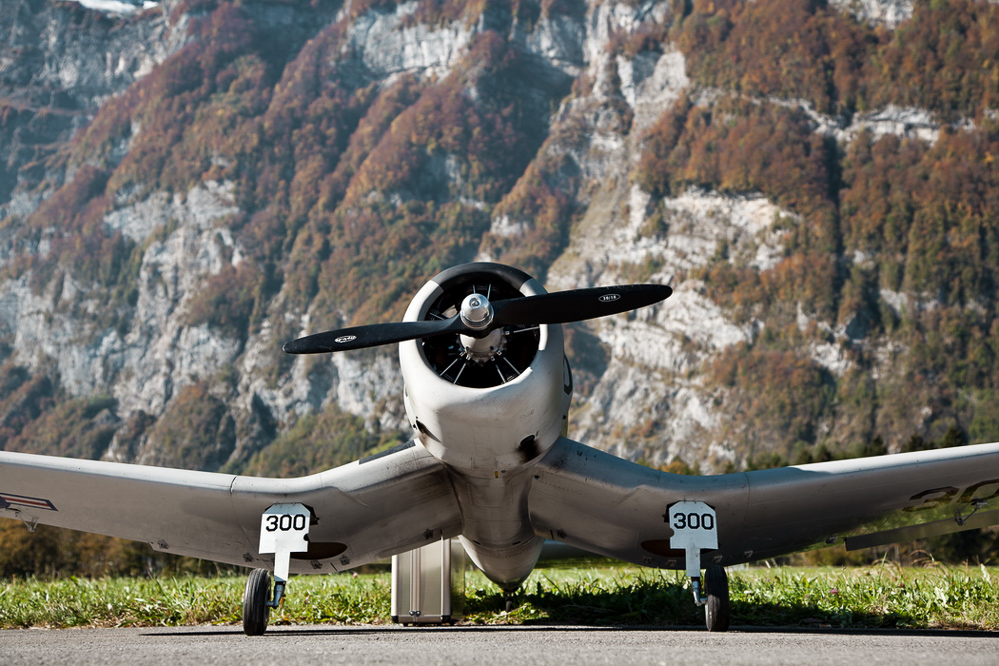 Warbird Mollis - 006