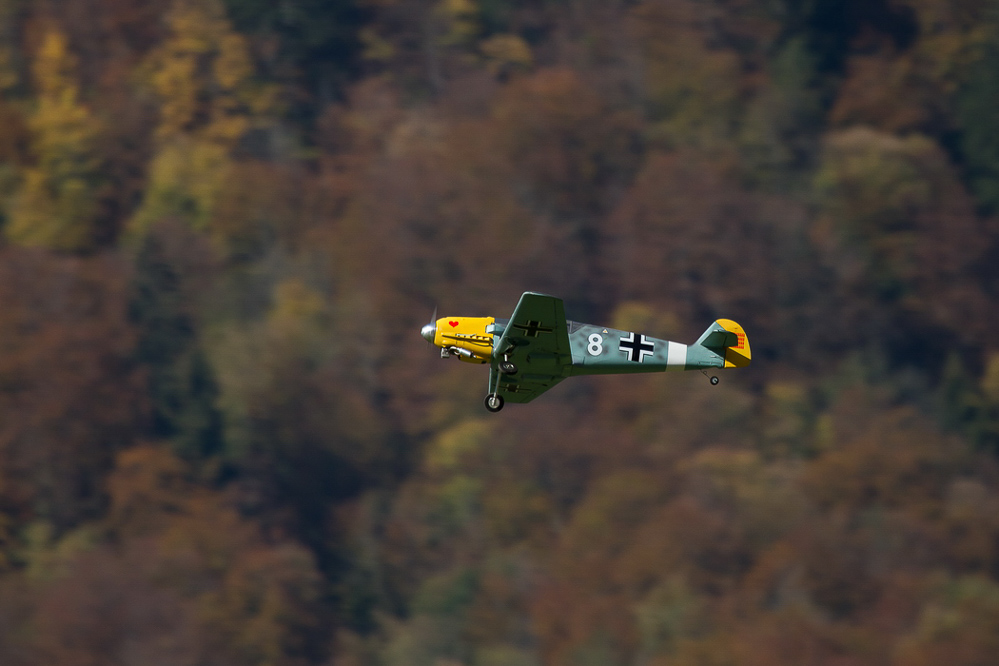 Warbird Mollis - 009
