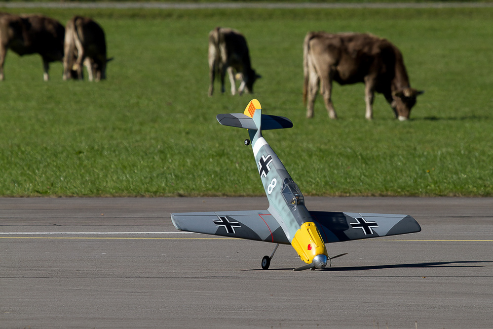 Warbird Mollis - 010