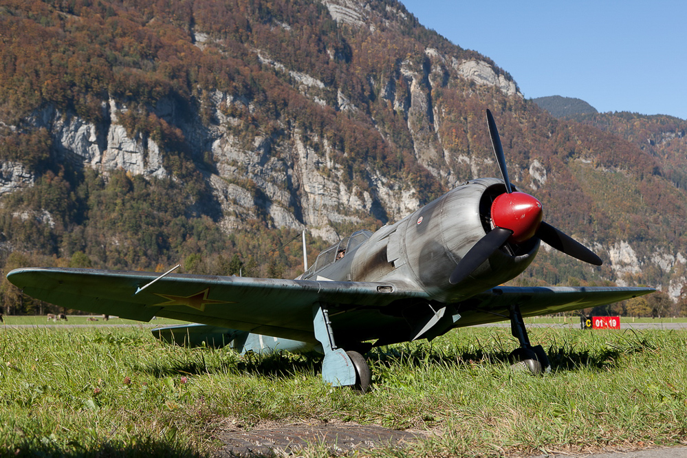 Warbird Mollis - 011