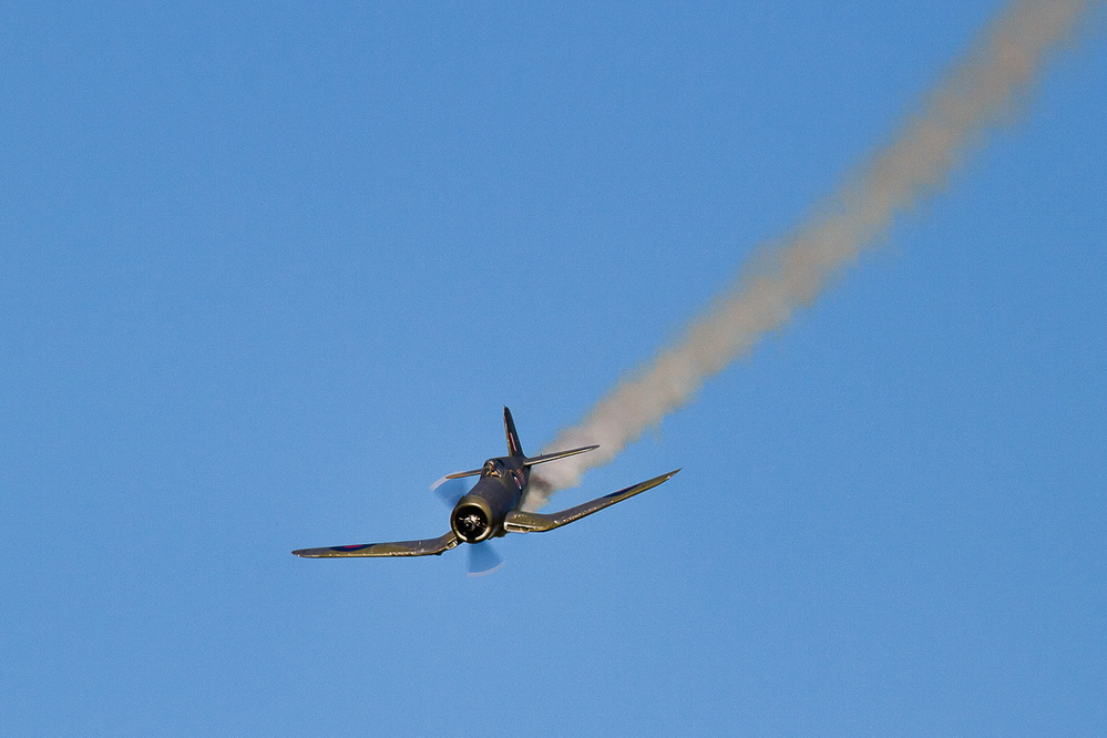 Warbird Mollis - 013