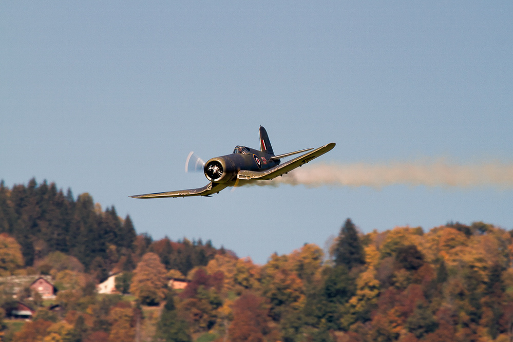 Warbird Mollis - 014