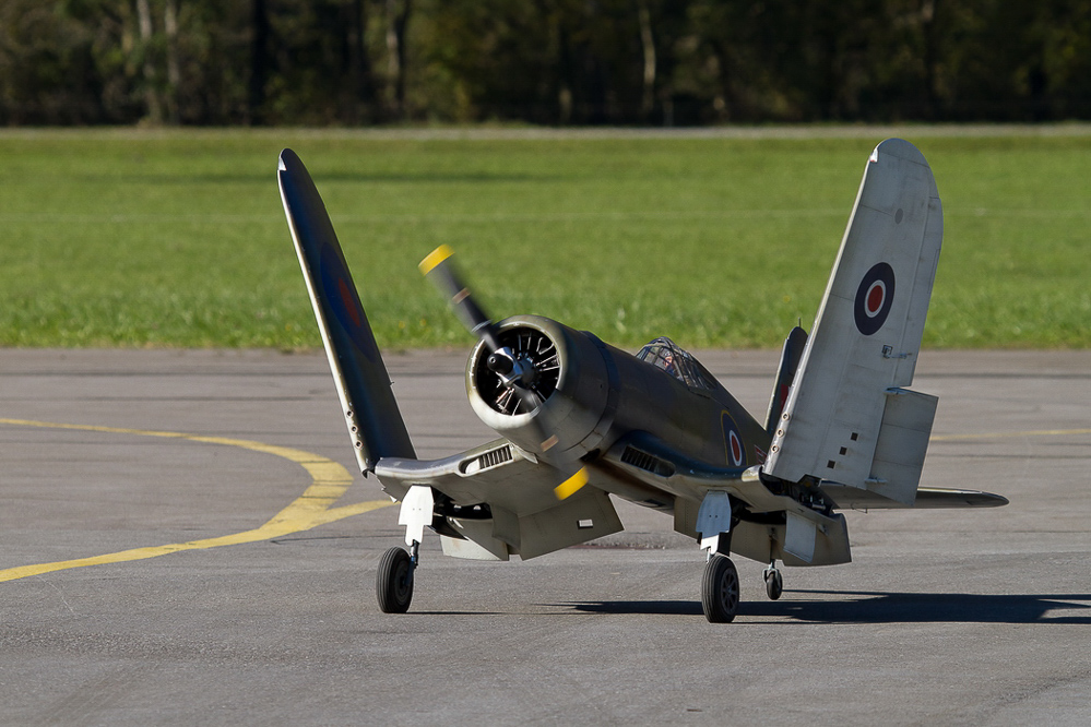 Warbird Mollis - 016