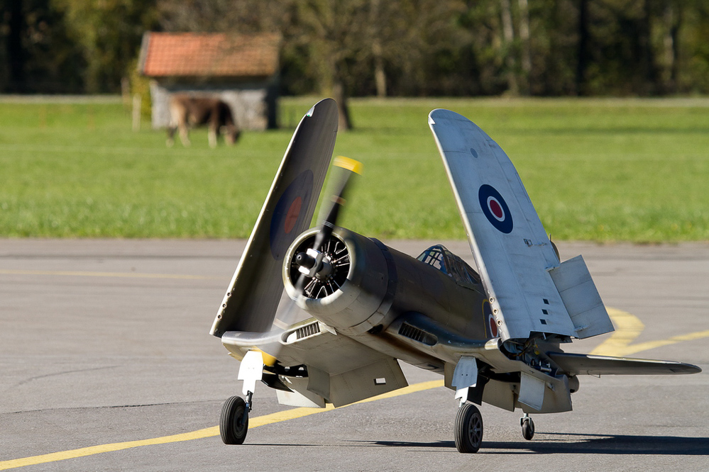 Warbird Mollis - 017