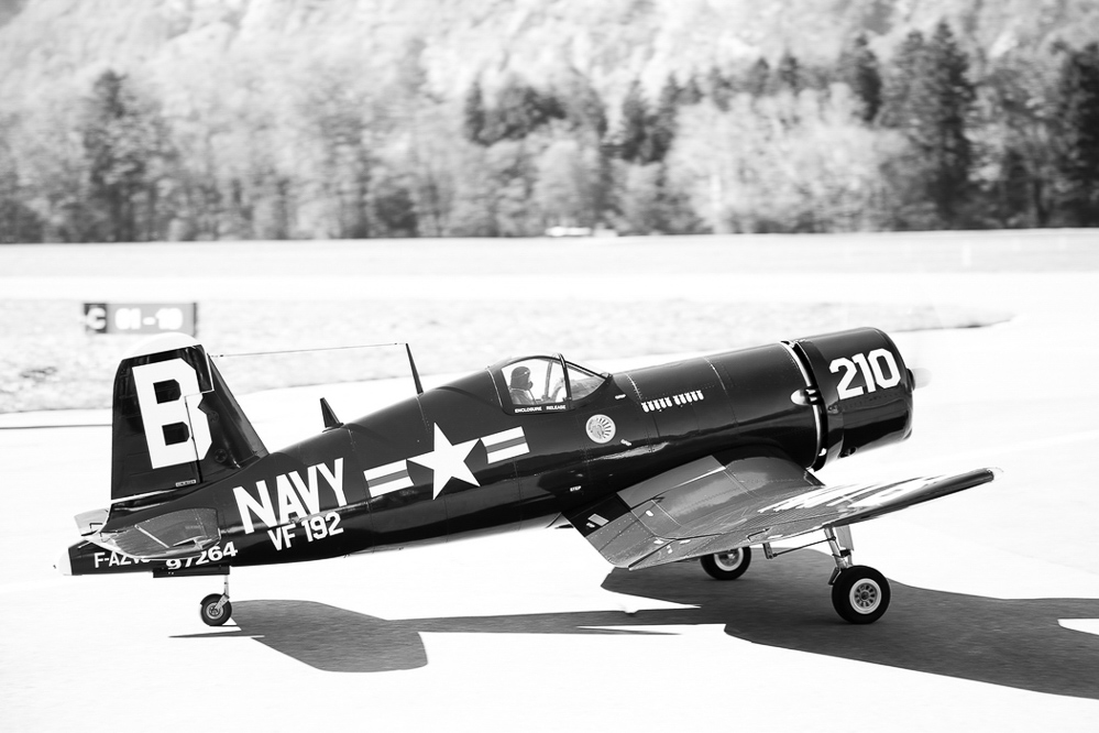 Warbird Mollis - 019