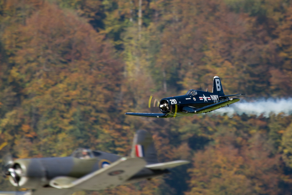 Warbird Mollis - 020