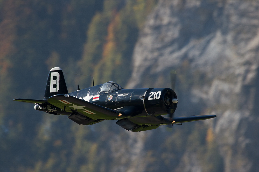 Warbird Mollis - 022