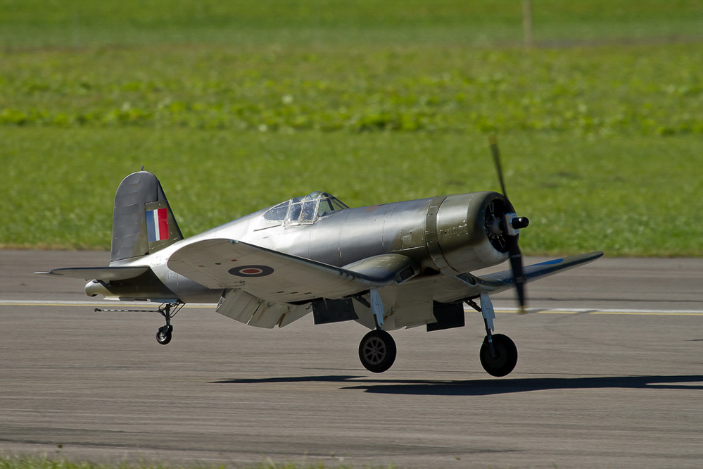 Warbird Mollis - 023