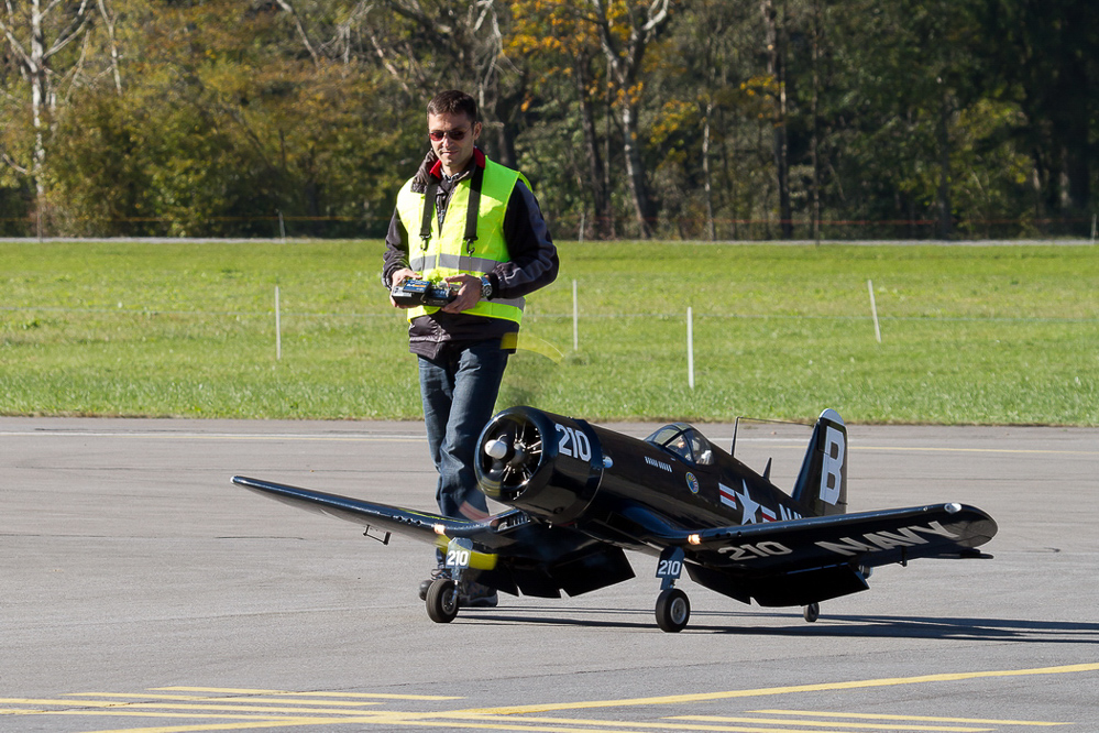 Warbird Mollis - 024