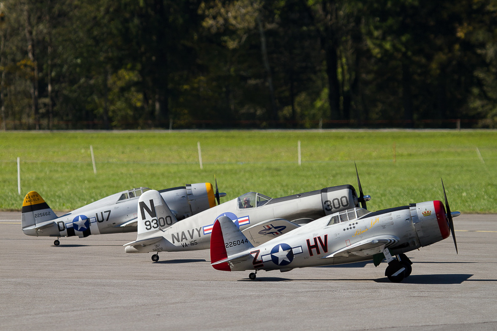 Warbird Mollis - 027