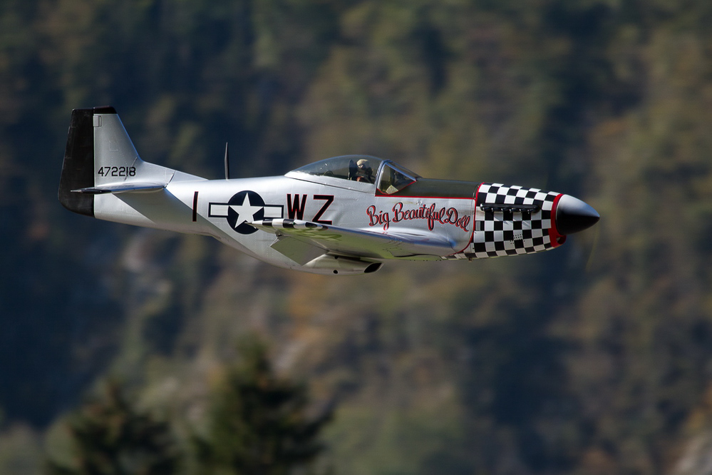 Warbird Mollis - 028