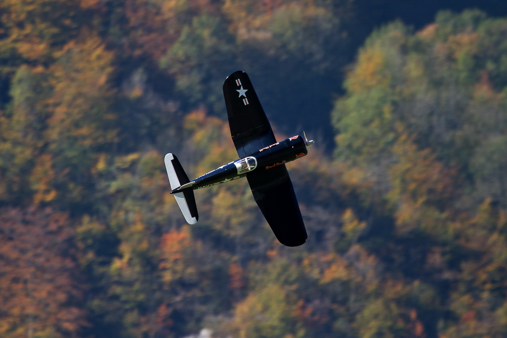 Warbird Mollis - 029