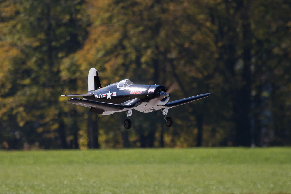 Warbird Mollis - 030