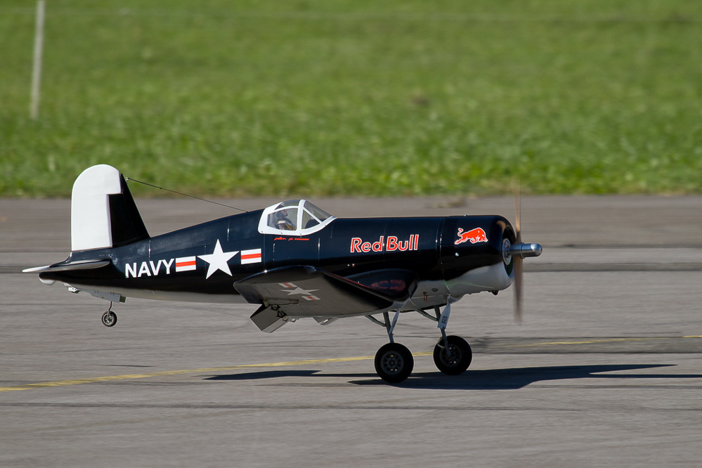 Warbird Mollis - 031