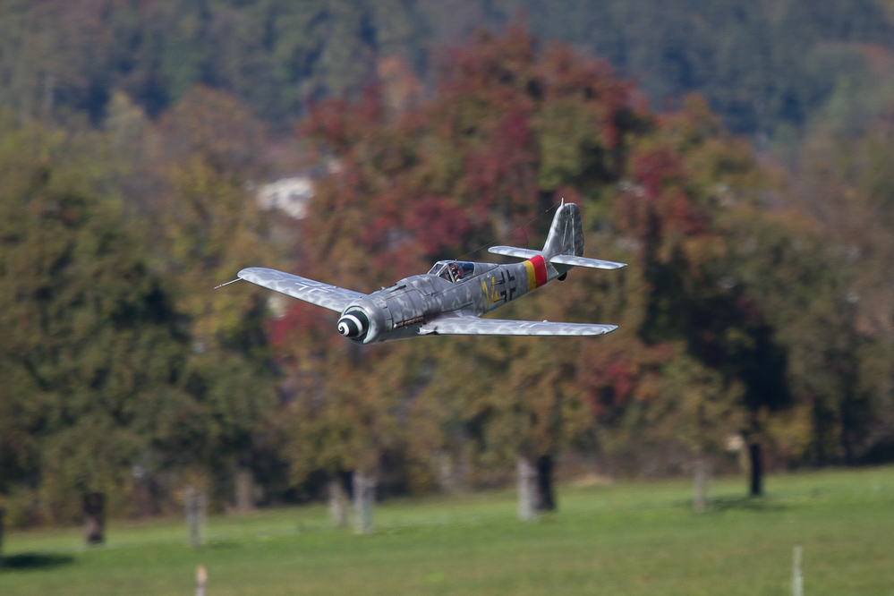 Warbird Mollis - 032
