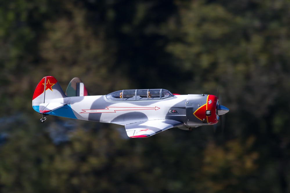 Warbird Mollis - 034