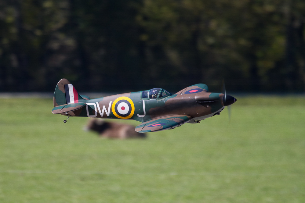 Warbird Mollis - 035