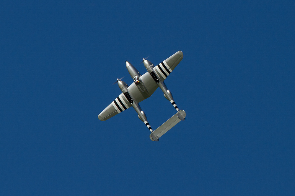 Warbird Mollis - 036