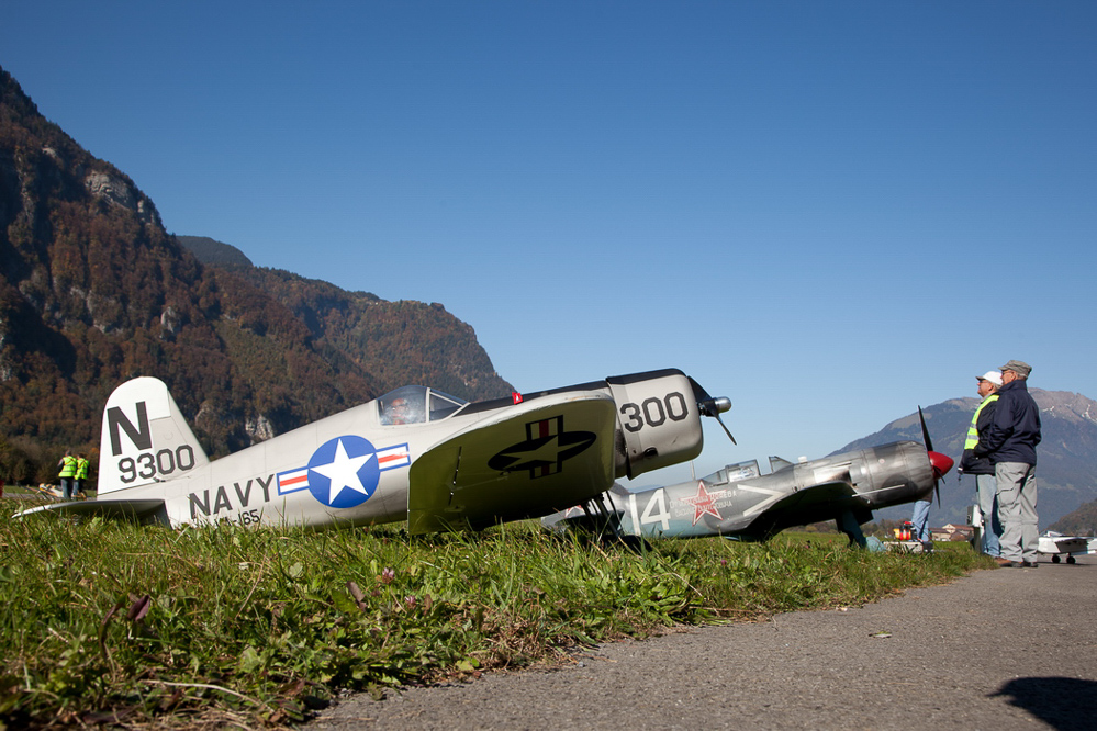 Warbird Mollis - 043