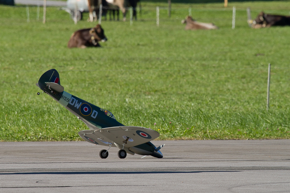 Warbird Mollis - 044