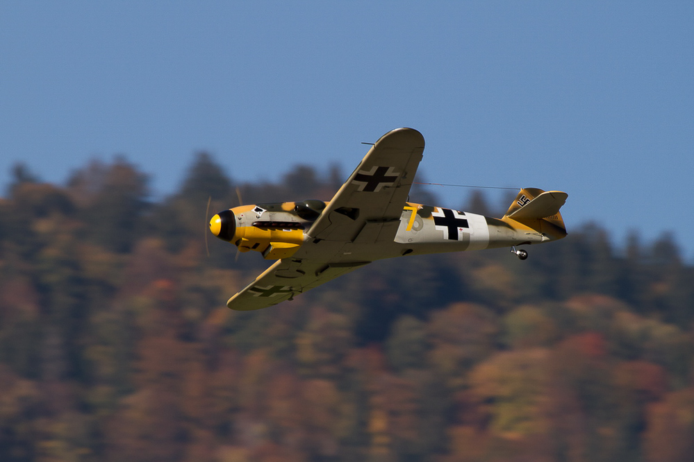 Warbird Mollis - 045