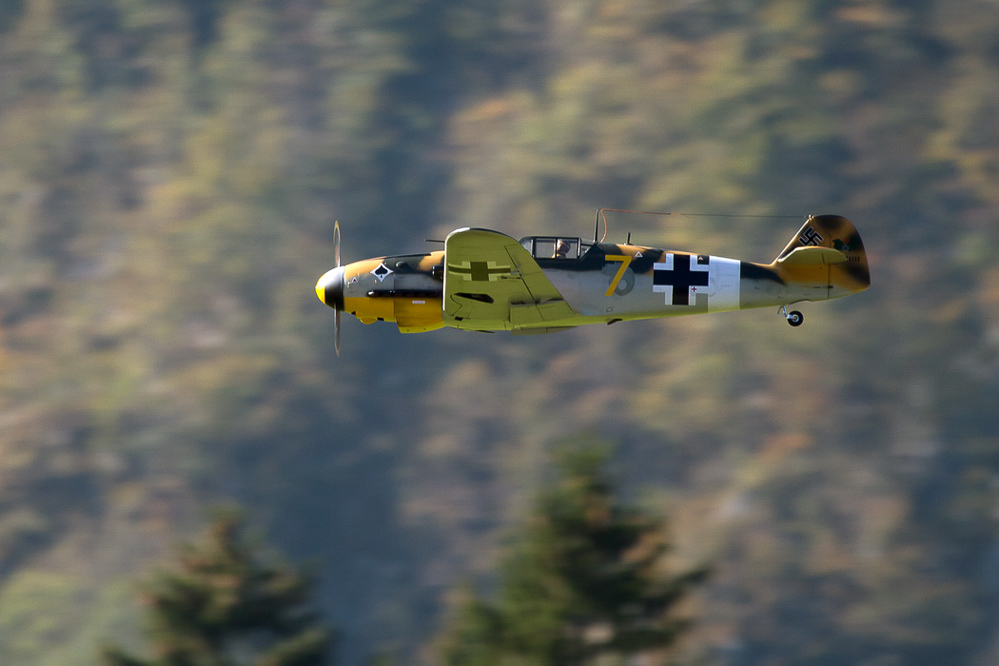 Warbird Mollis - 046