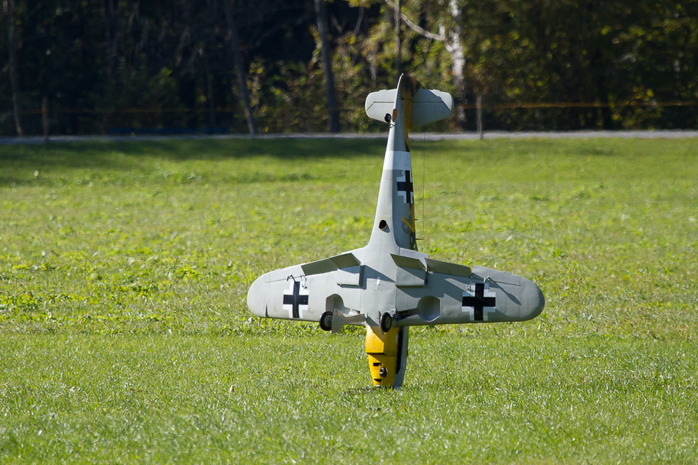 Warbird Mollis - 048