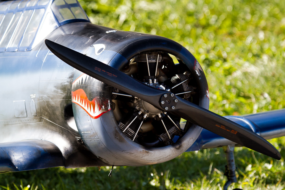 Warbird Mollis - 050