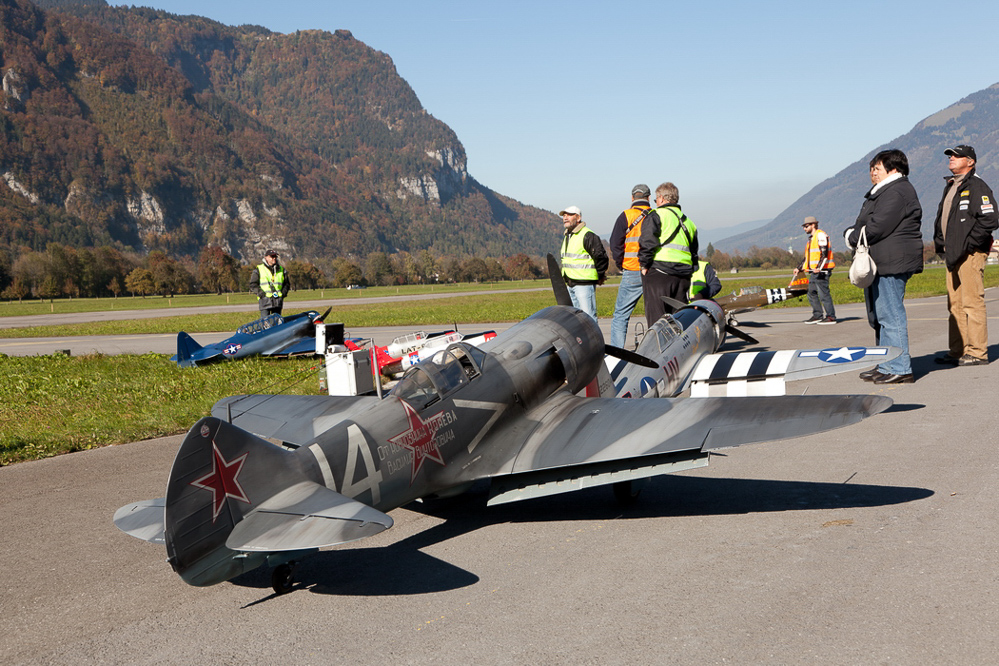 Warbird Mollis - 051