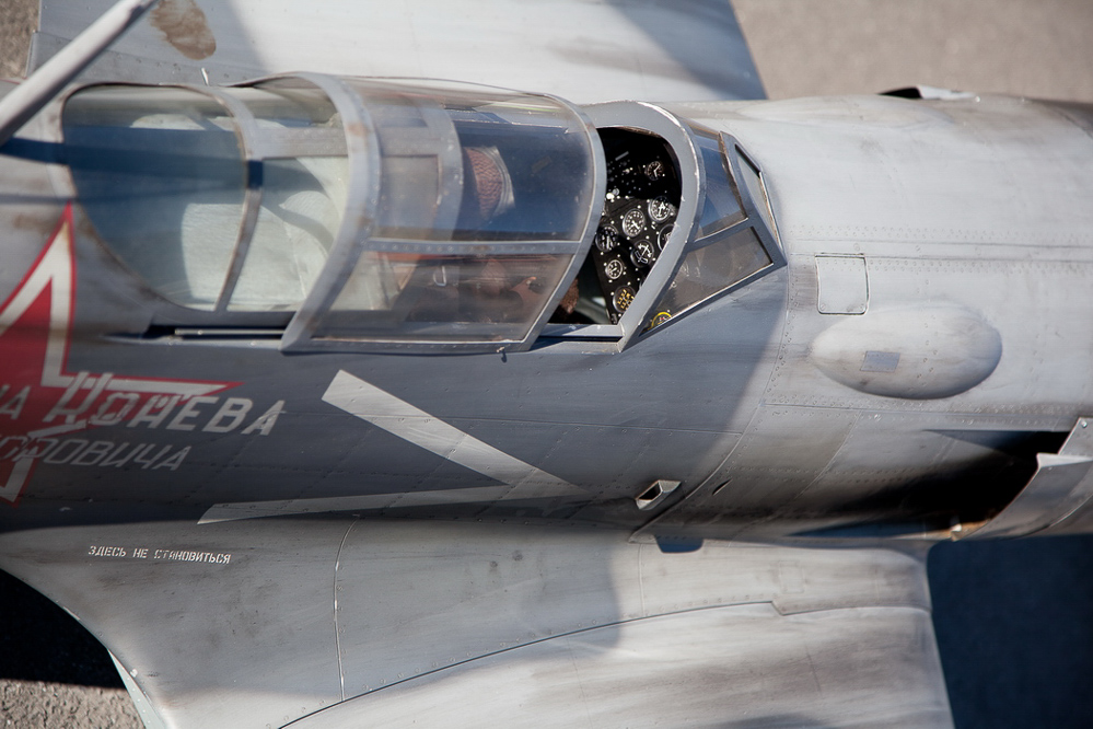 Warbird Mollis - 053