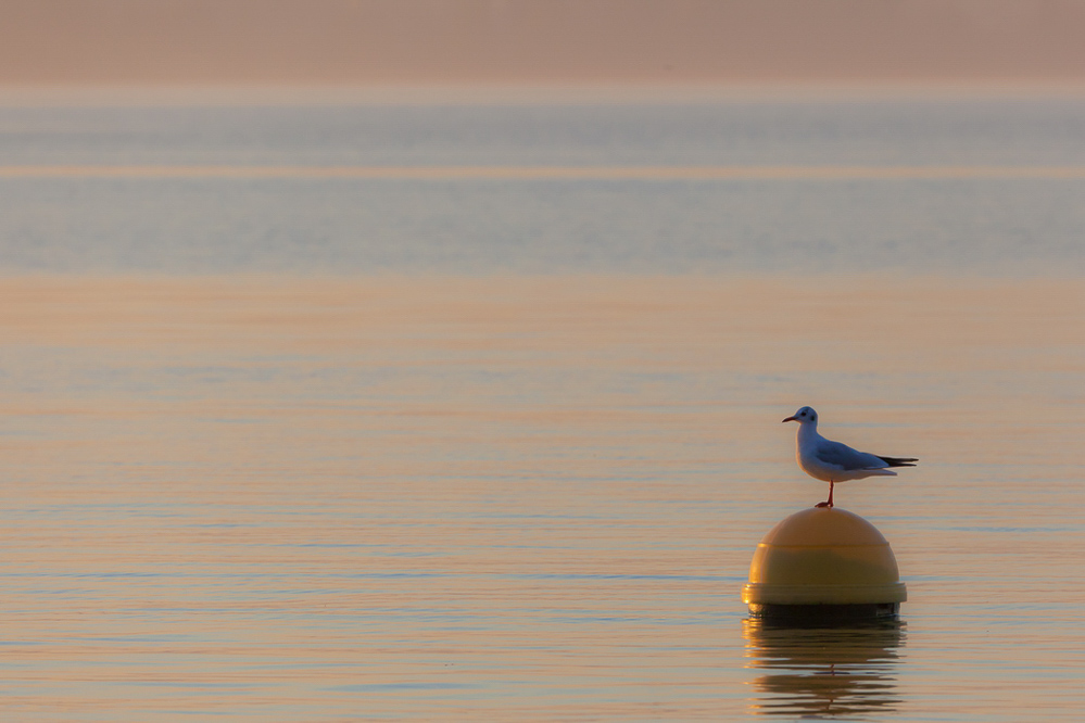 wasser_023