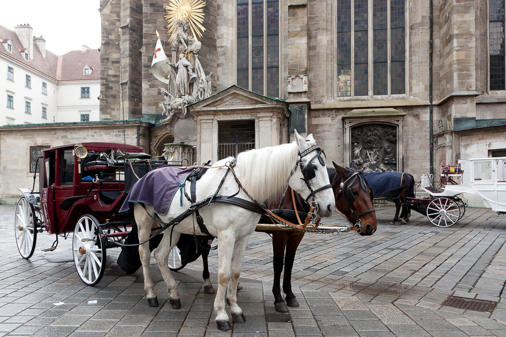 wien_039