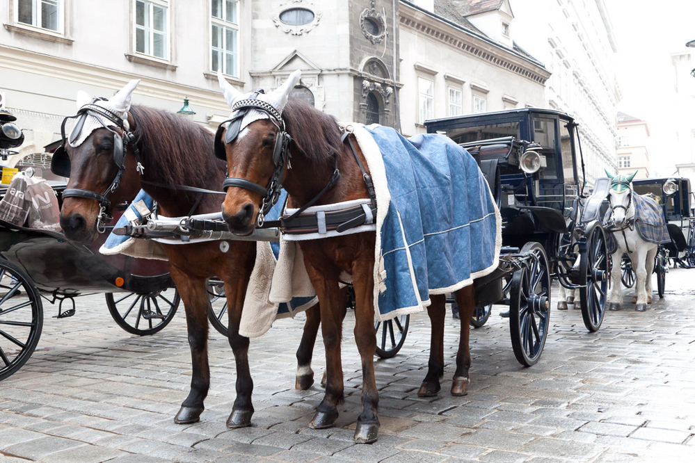 wien_040