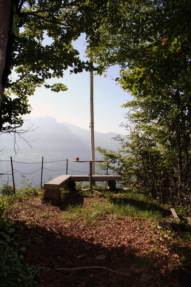 Wiggisboden - 28.06.2007 - ©MD - 000