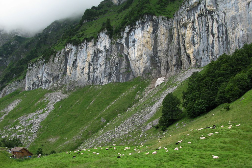 Wiggisboden - 28.06.2007 - ©MD - 003