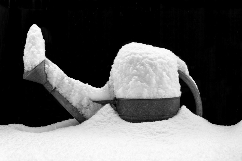Winter 09-10 - 015 - Neuschnee