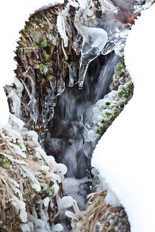 winter_010