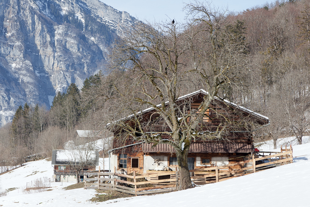 winter_011