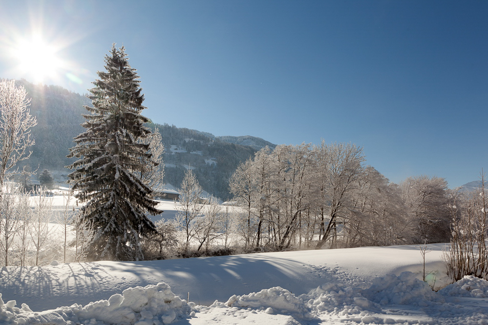 winter_022